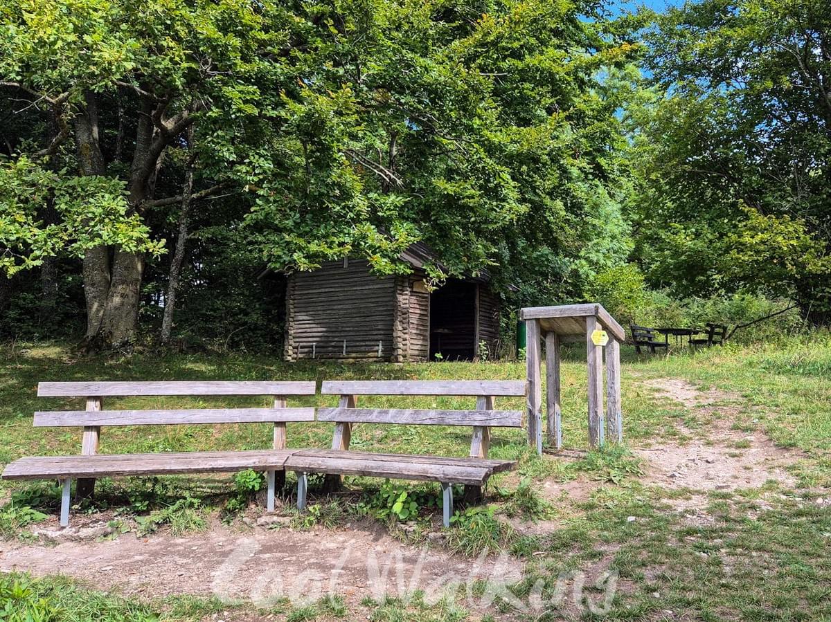Section image