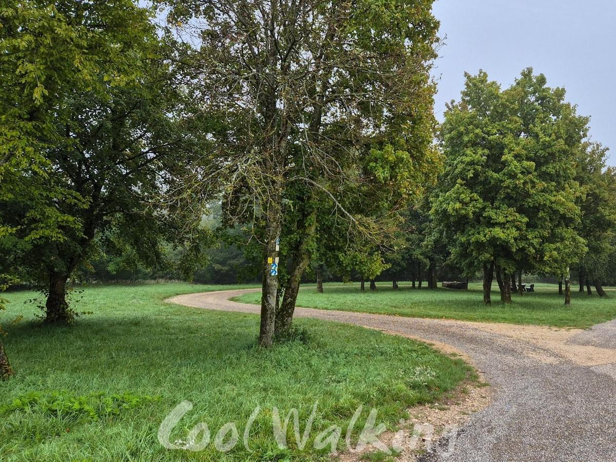 Section image