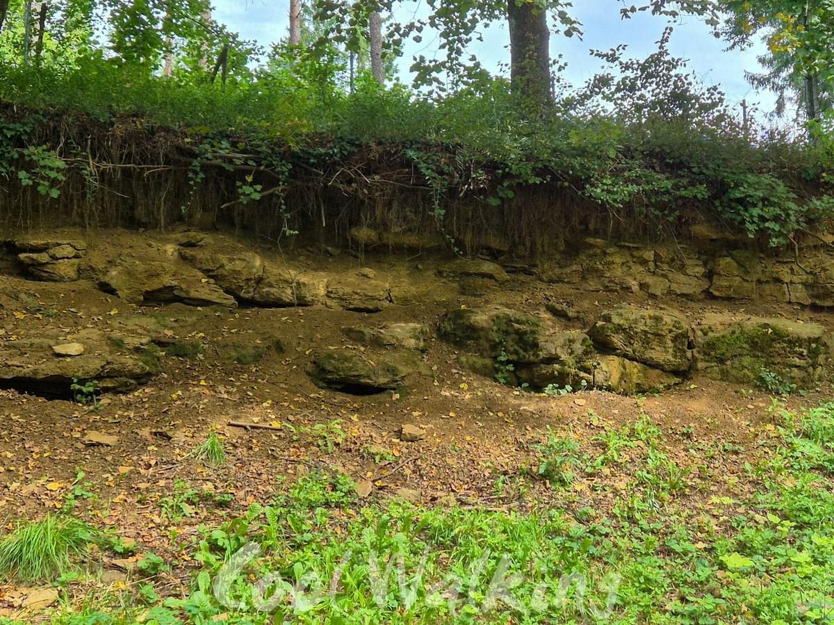 Section image