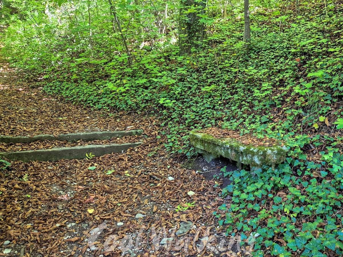 Section image