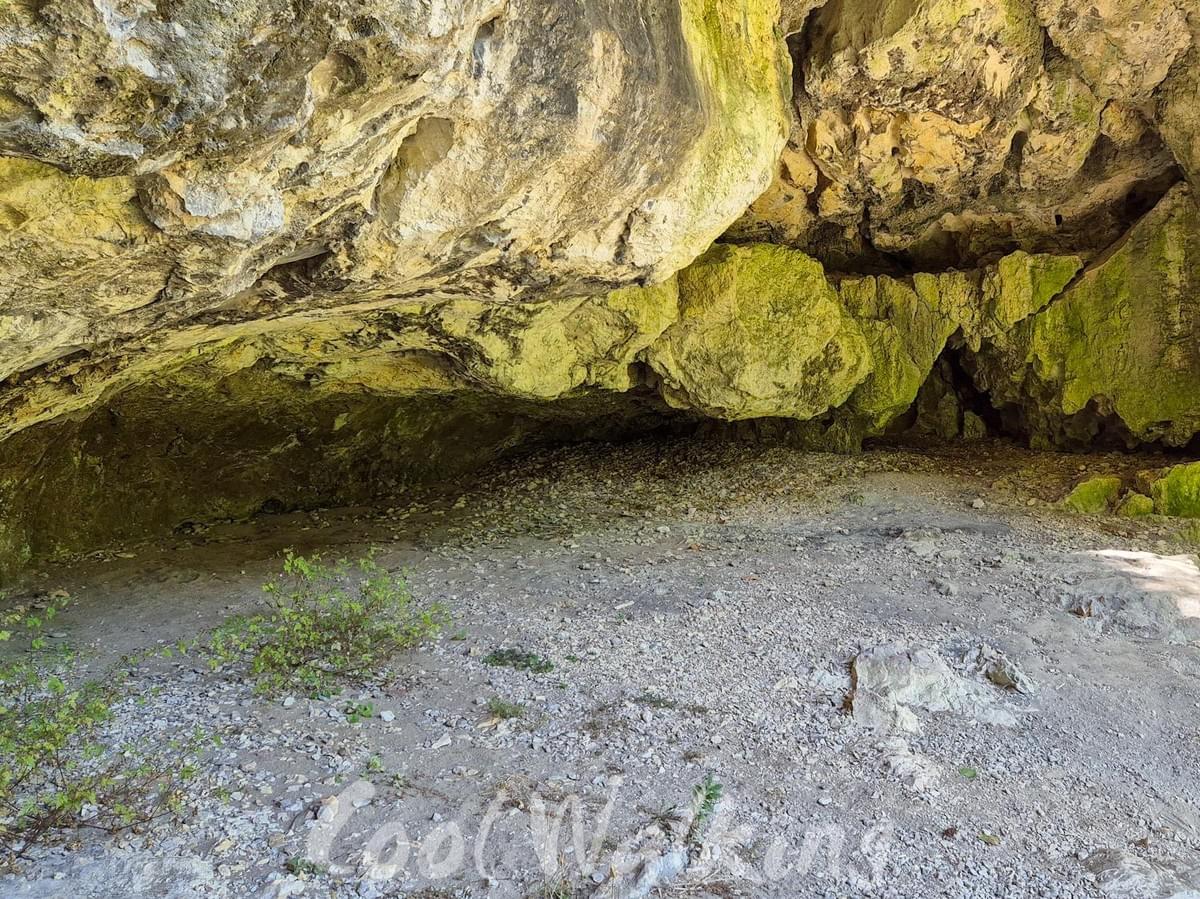 Section image