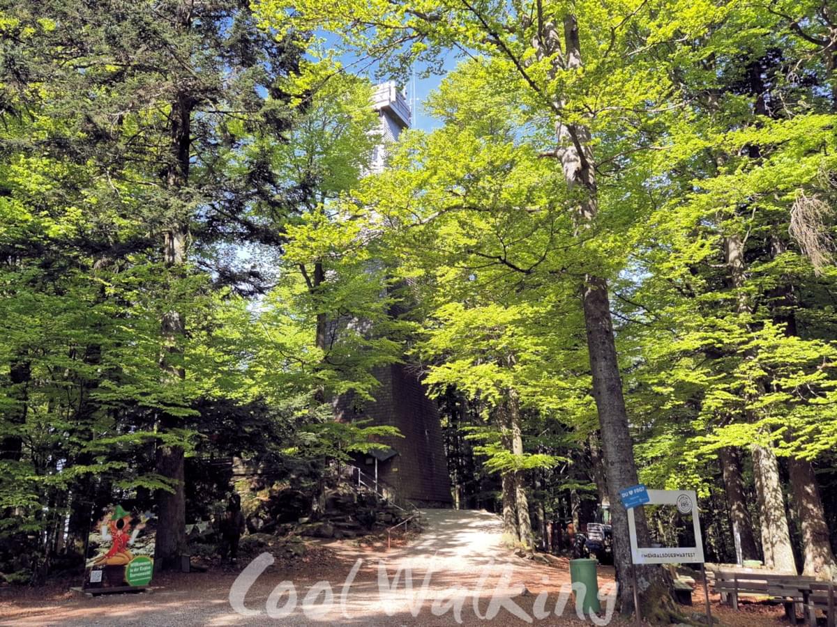 Section image