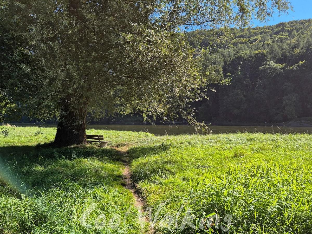 Section image