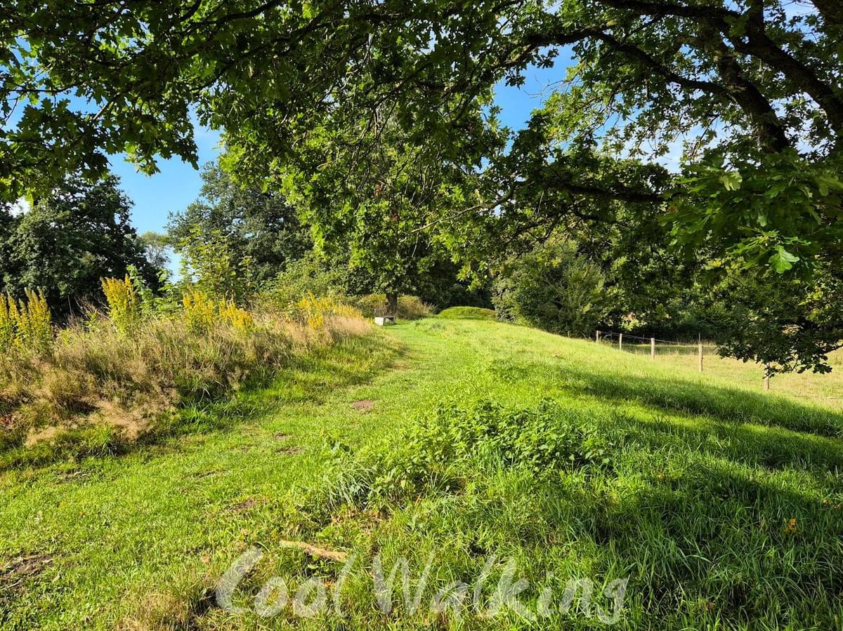 Section image