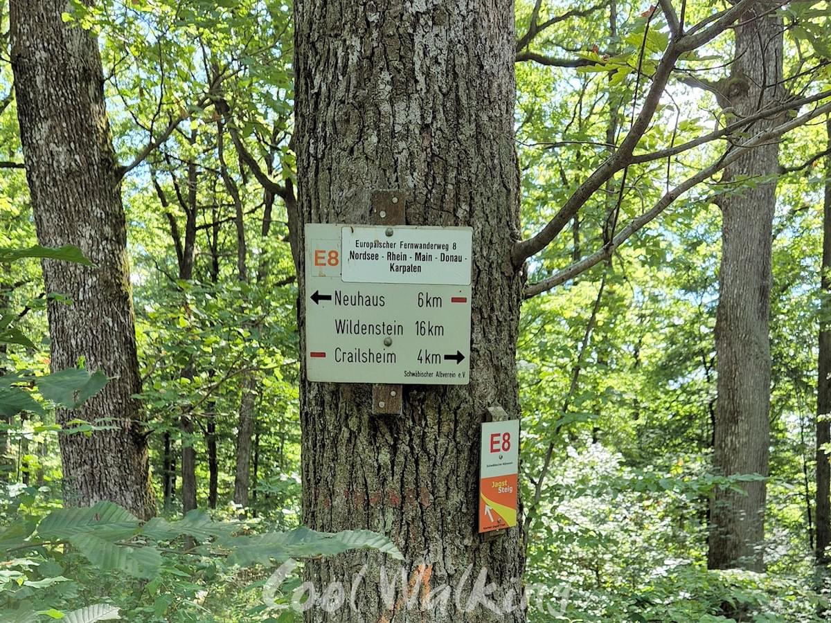 Section image