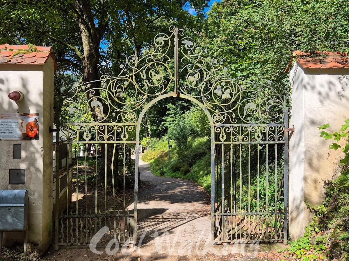 Section image
