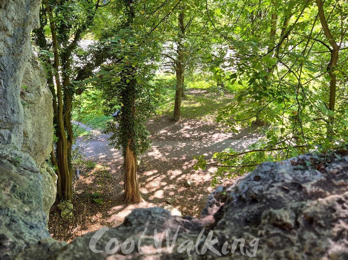 Section image