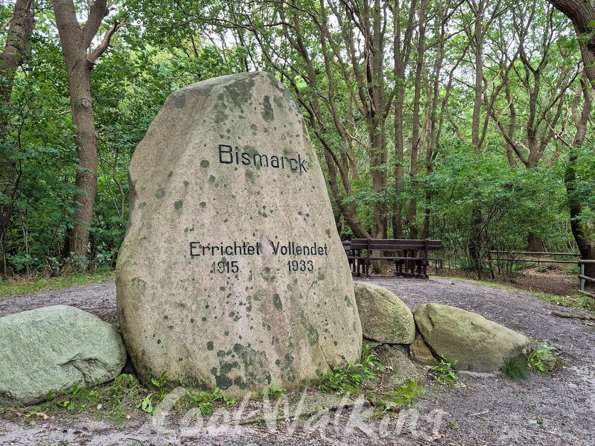 Section image