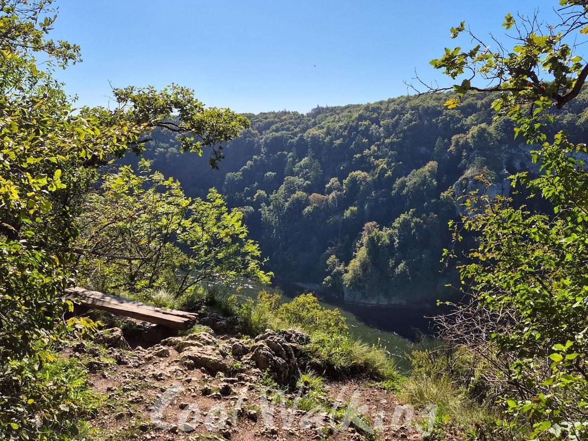 Section image