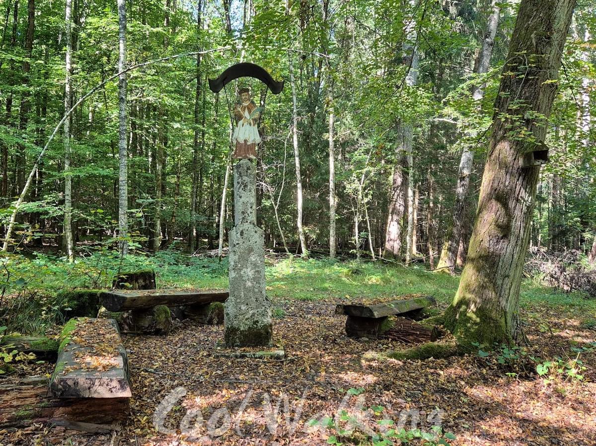 Section image