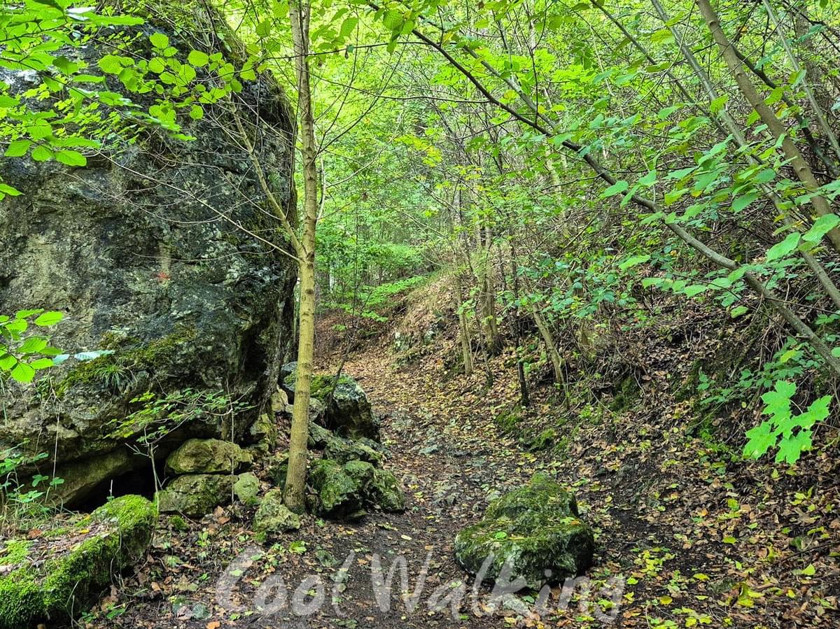 Section image