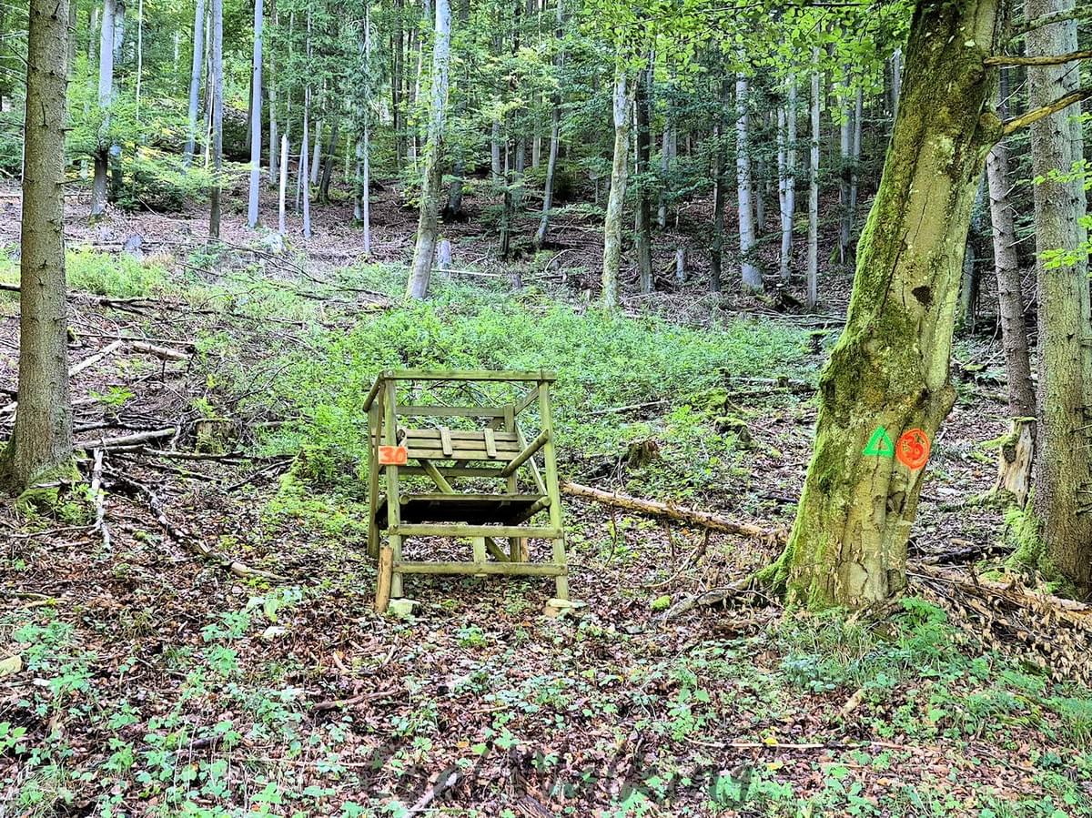 Section image