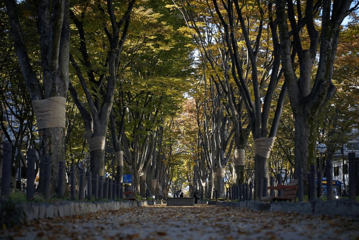 アルファスター5つの約束 アルファスター5つの約束