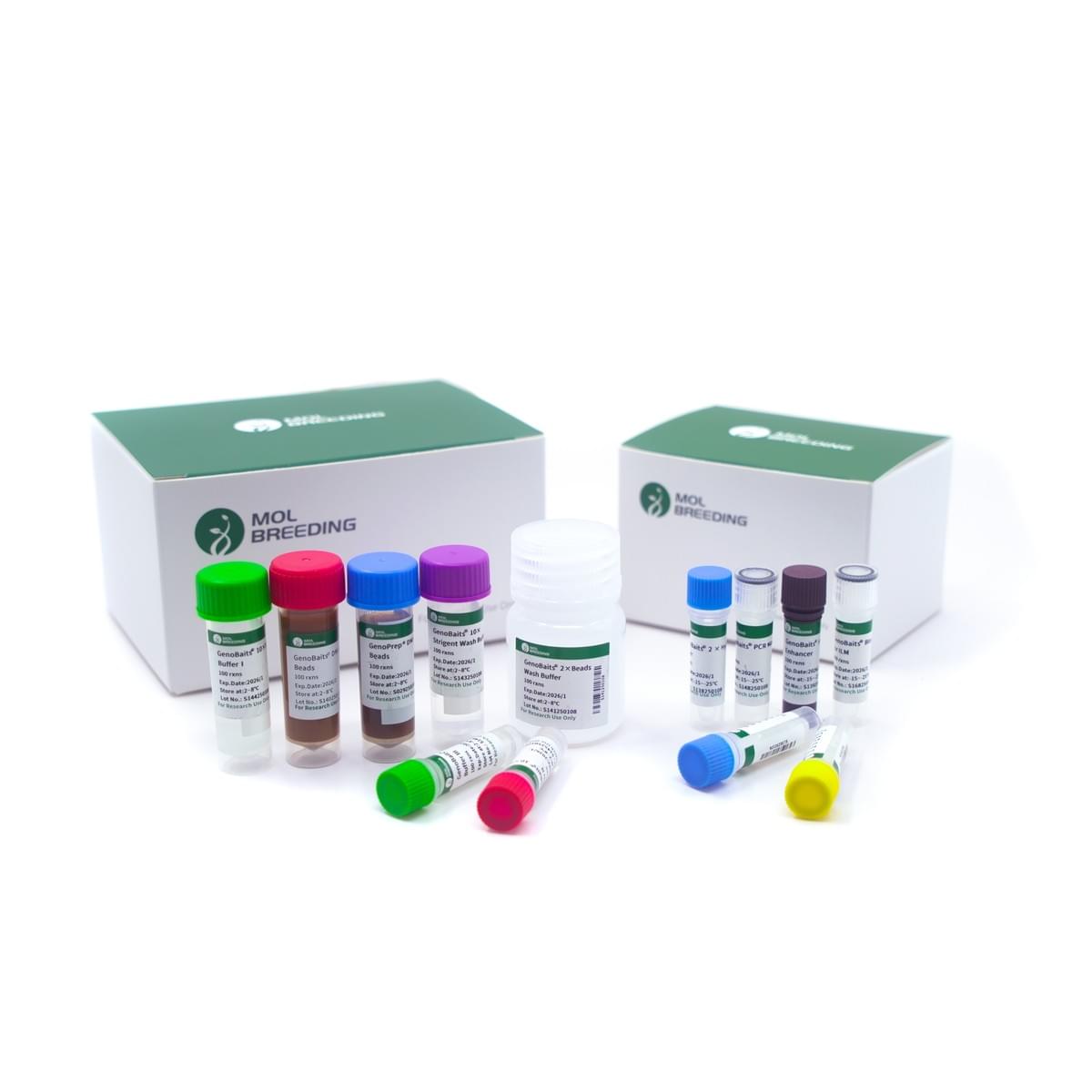 DNA extraction Regents DNA extraction Regents