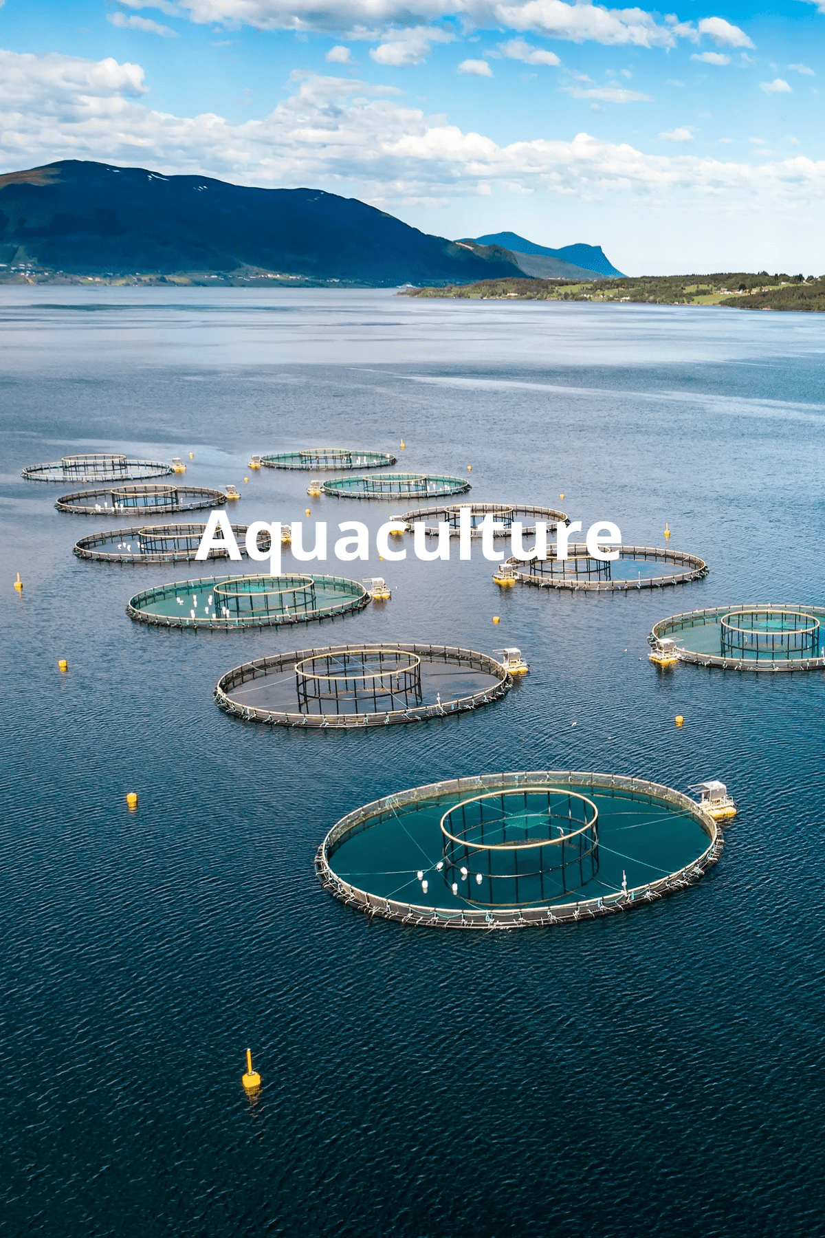 High-Throughput Genotyping services for Aquaculture High-Throughput Genotyping services for Aquaculture