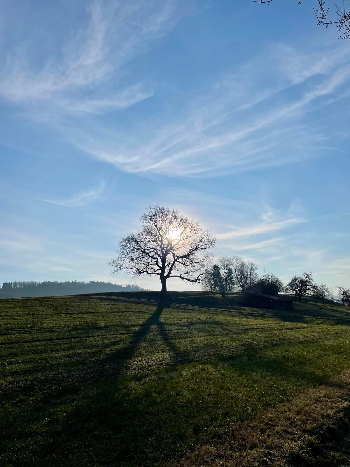 In our group reflections you can exchange with others, learn together and benefit from each other. Share experiences and develop new insights. group reflections What we offer Landing page Time to Reflect Sessions In our group reflections you can exchange with others, learn together and benefit from each other. Share experiences and develop new insights. group reflections What we offer Landing page Time to Reflect Sessions