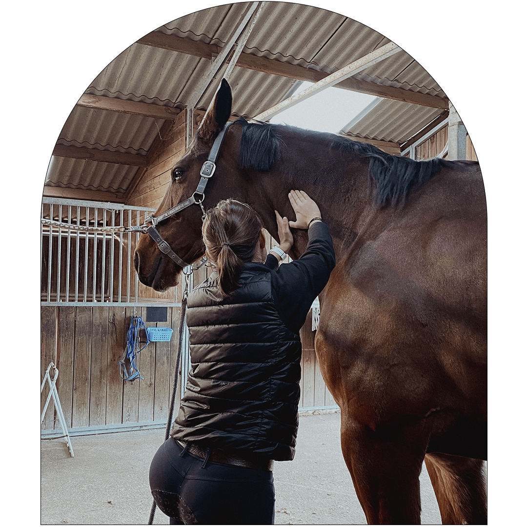 chica tocándole el cuello a un caballo chica tocándole el cuello a un caballo