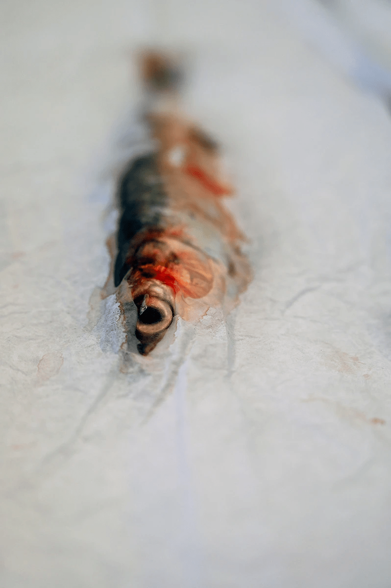 image credit : Hélène Gugenheim image credit : Hélène Gugenheim