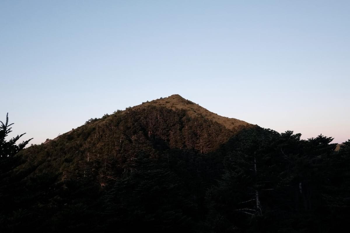 Section image
