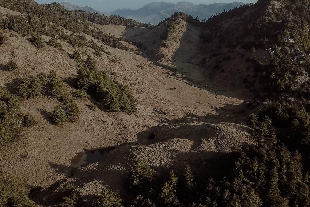 Section image