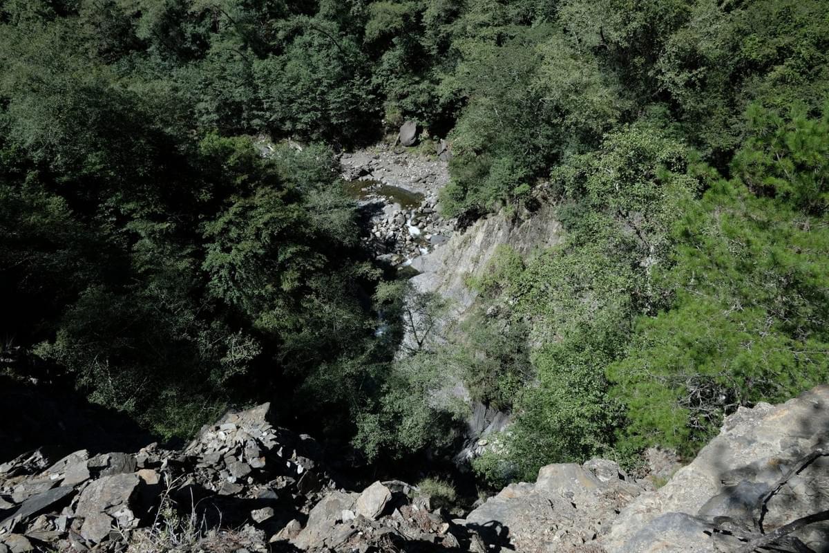 Section image