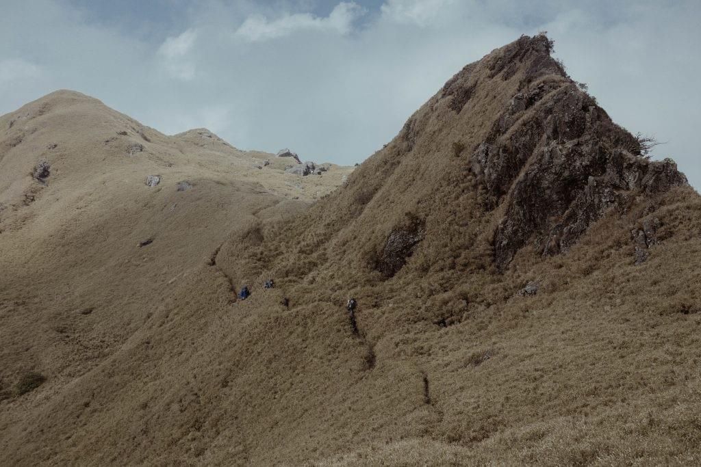 Section image
