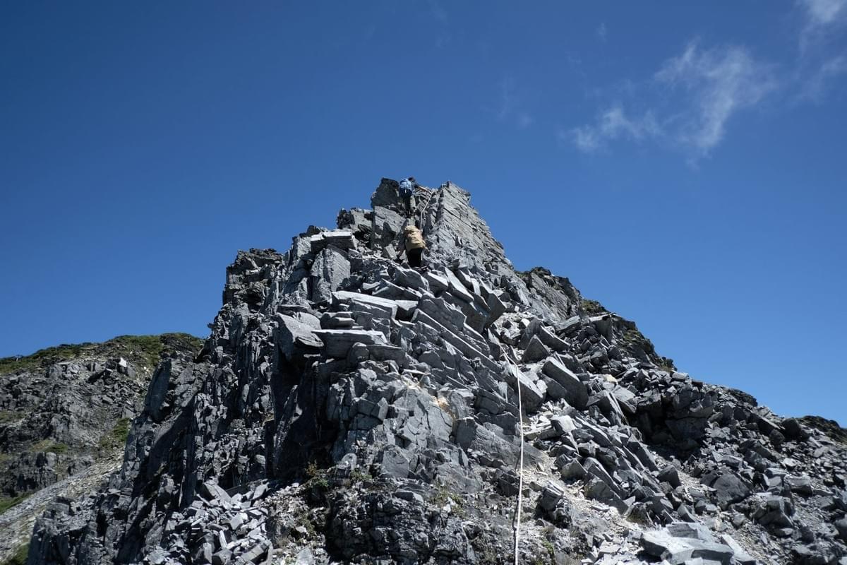 Section image