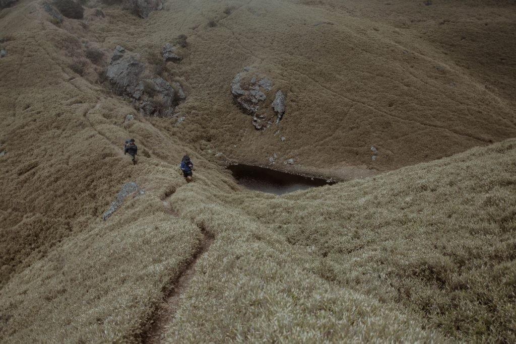 Section image