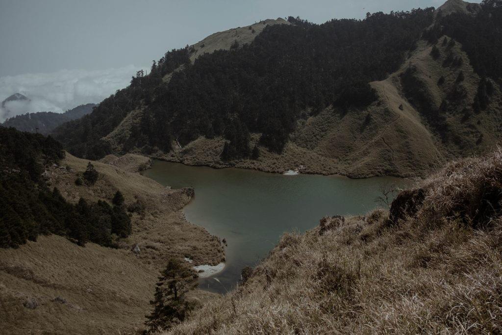 Section image