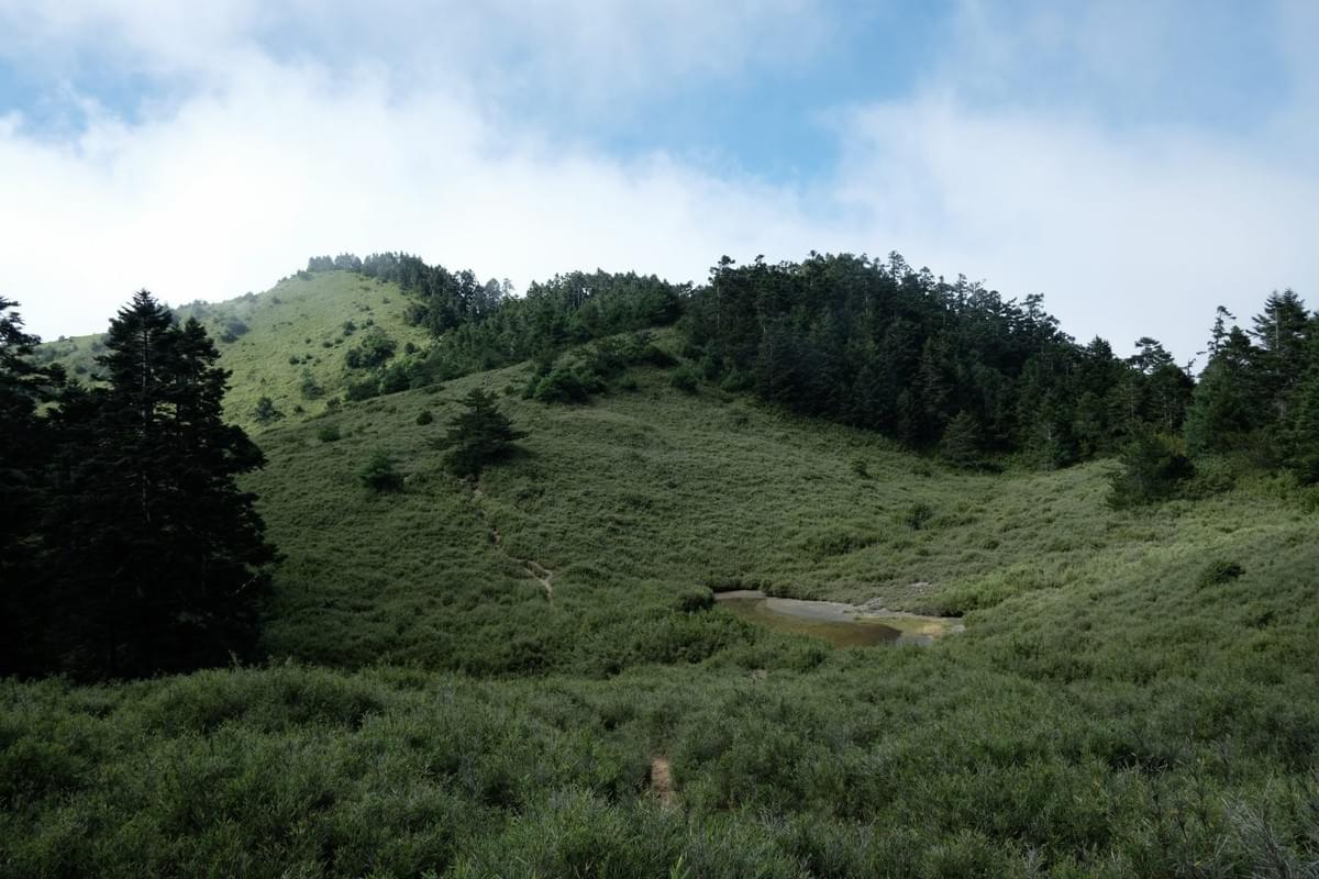 Section image