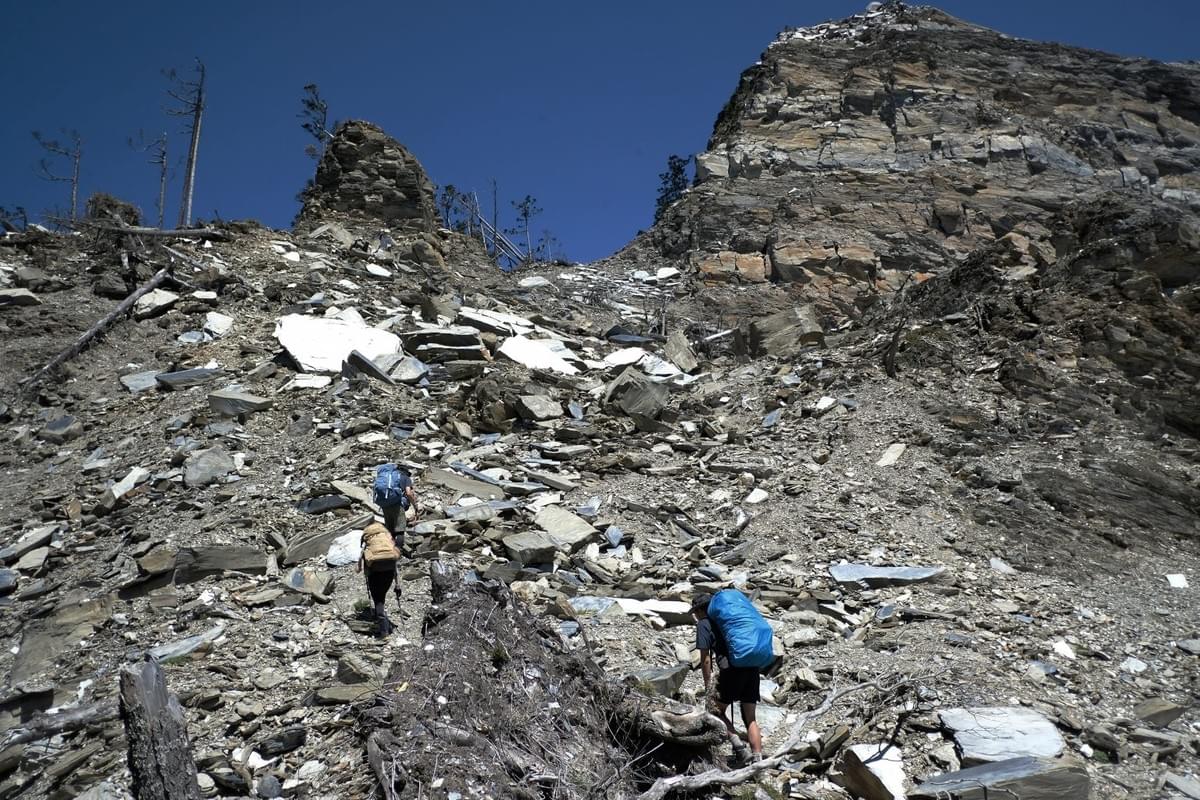 Section image
