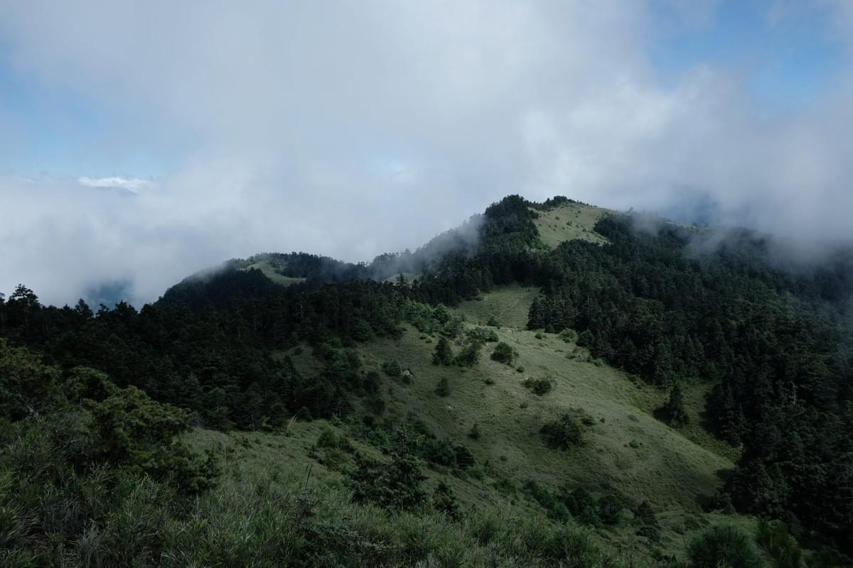 Section image