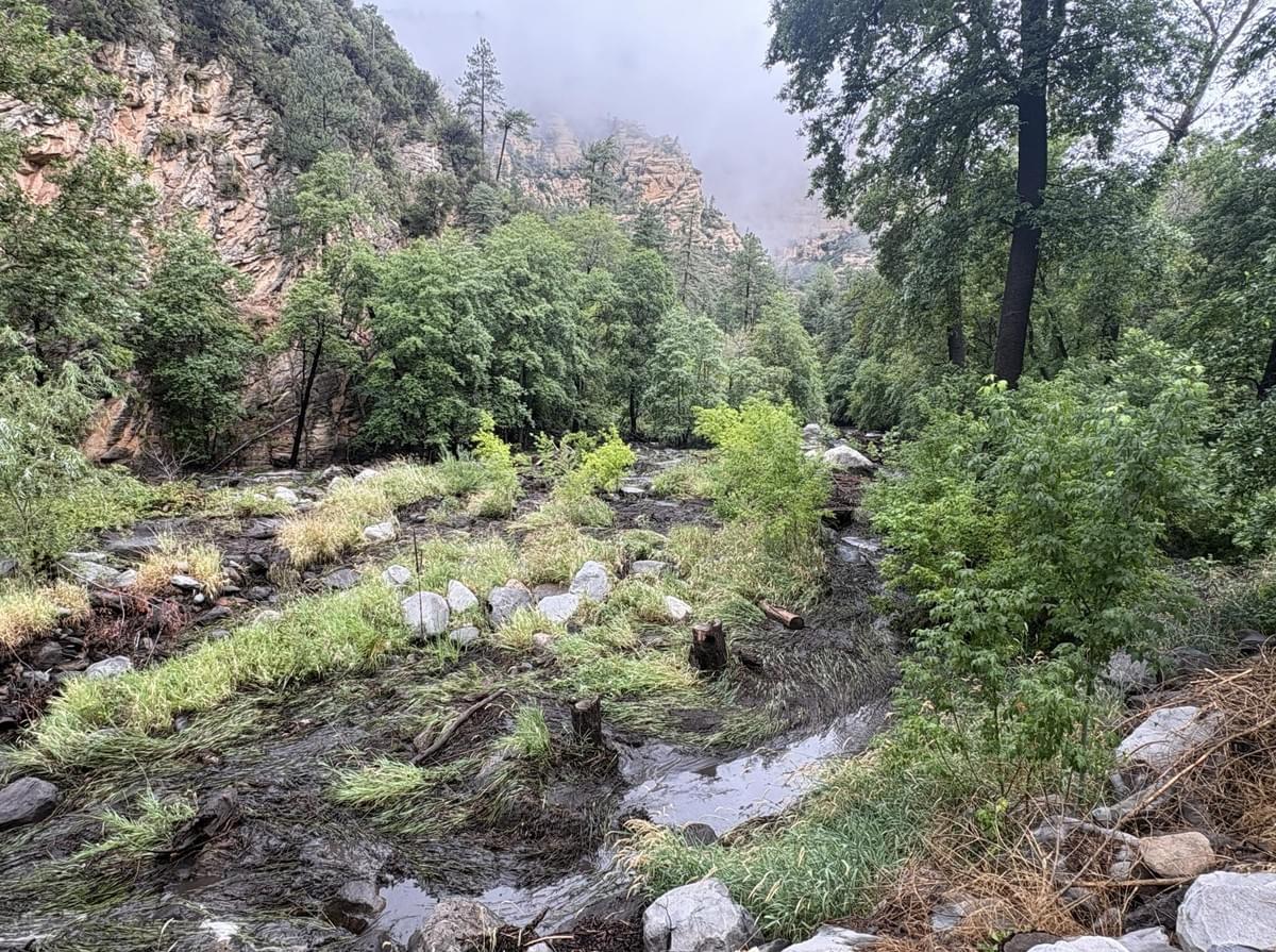 Section image