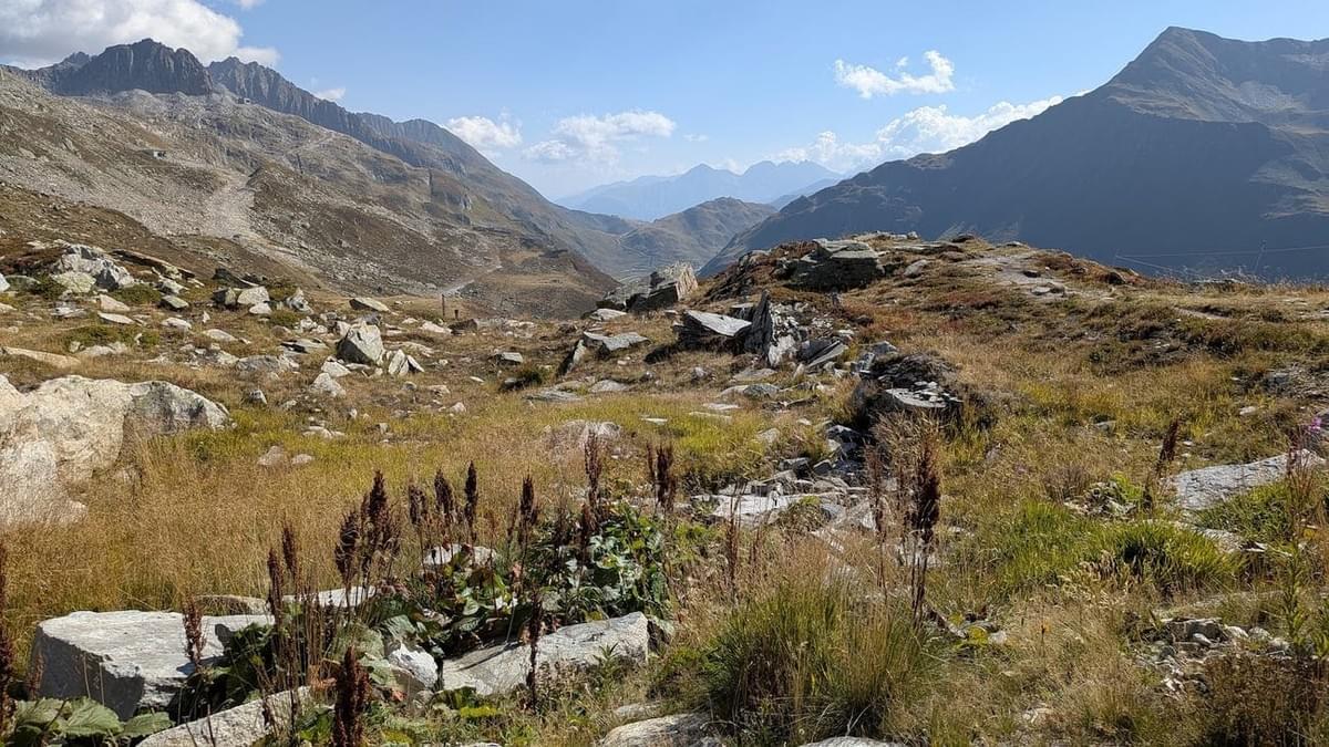 Section image