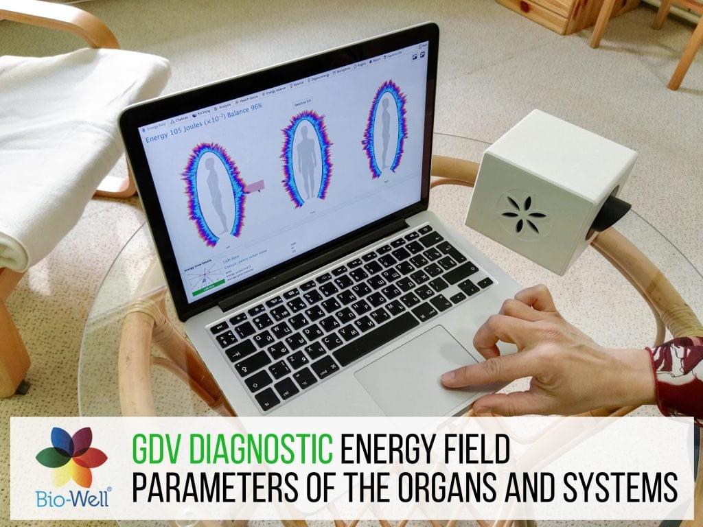 Vu du logiciel GDV BioWell, avec vue globale des paramètres et de l'énergie des différents organes et systemes. Bio-Well software Vu du logiciel GDV BioWell, avec vue globale des paramètres et de l'énergie des différents organes et systemes. Bio-Well software
