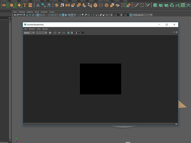 Maya2018 Arnold RenderView Maya2018 Arnold RenderView
