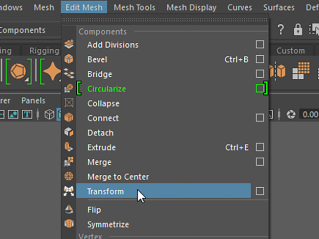 MAYA Transform MAYA Transform