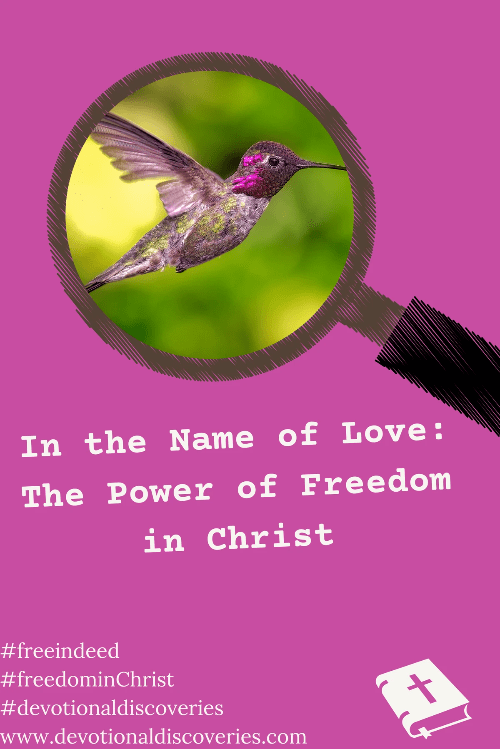 In the Name of Love:  The Power of Freedom in Christ In the Name of Love:  The Power of Freedom in Christ