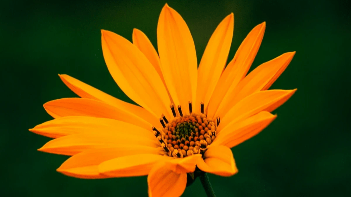 coaching skills at work coaching skills at work