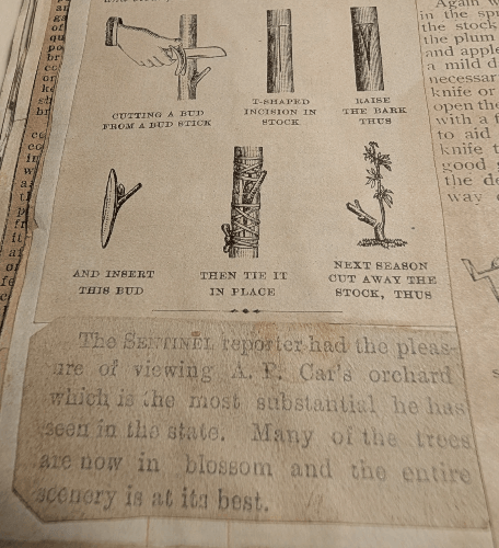 Section image