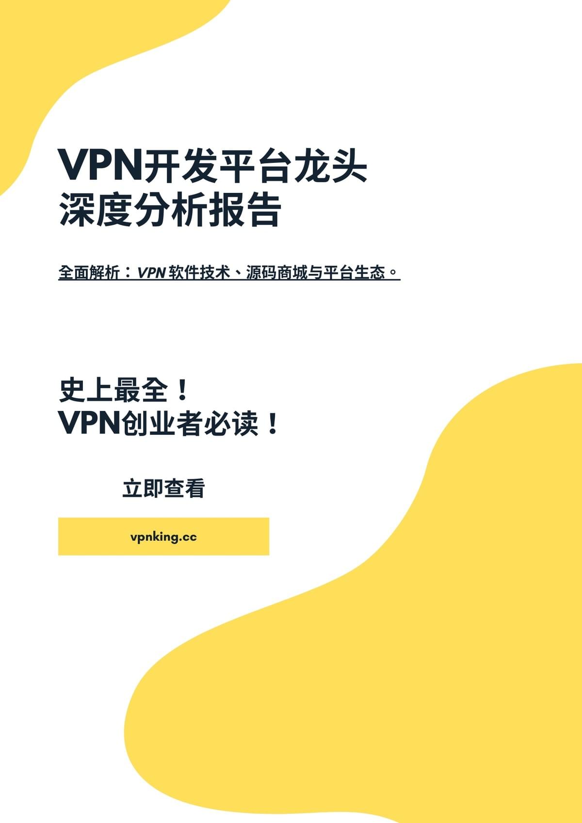 VPN开发平台龙头深度研究报告简体版 VPN开发平台龙头深度研究报告简体版