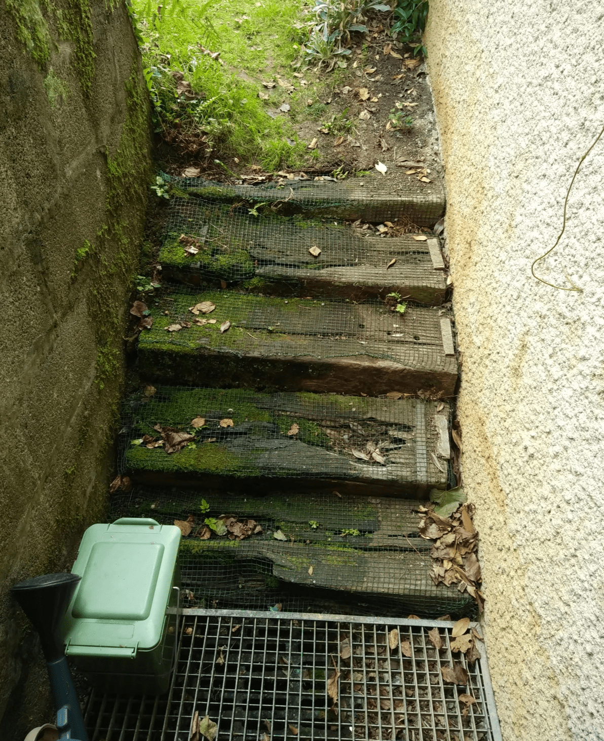 Section image
