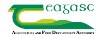 Teagasc - Currahee Food Consultancy partner Teagasc - Currahee Food Consultancy partner