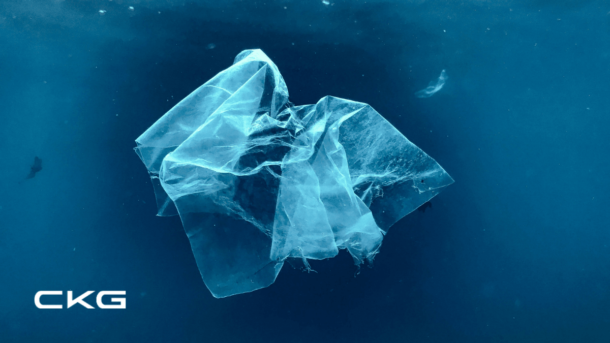 Plastic LDPE bags may end up as waste-to-energy. Plastic LDPE bags may end up as waste-to-energy.