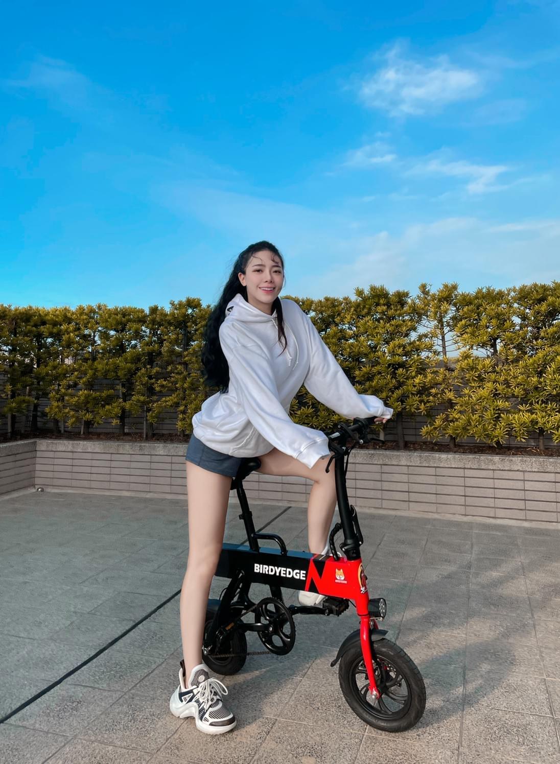 電動滑板車 比較 電動滑板車 比較