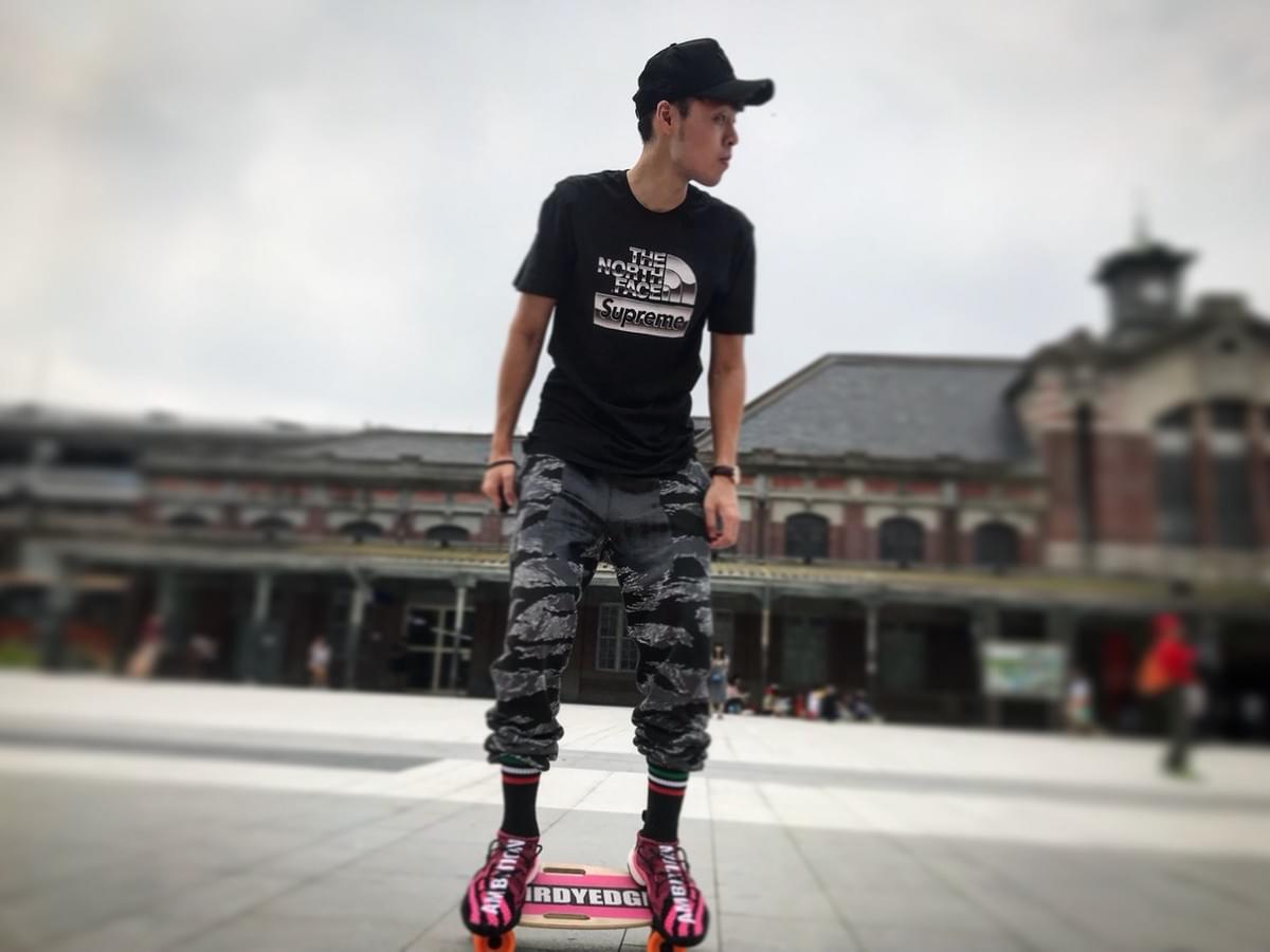 電動滑板車 比較 電動滑板車 比較