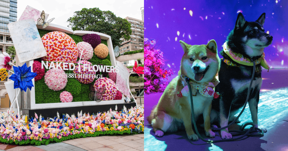 Naked Flowers 花舞光影展限時推出多款優惠 月生日折扣 寵愛狗狗日 療癒瑜伽日