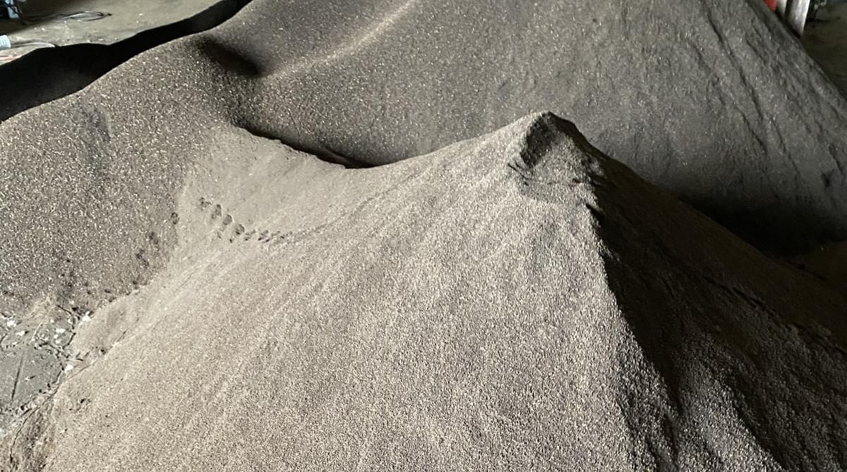 Section image