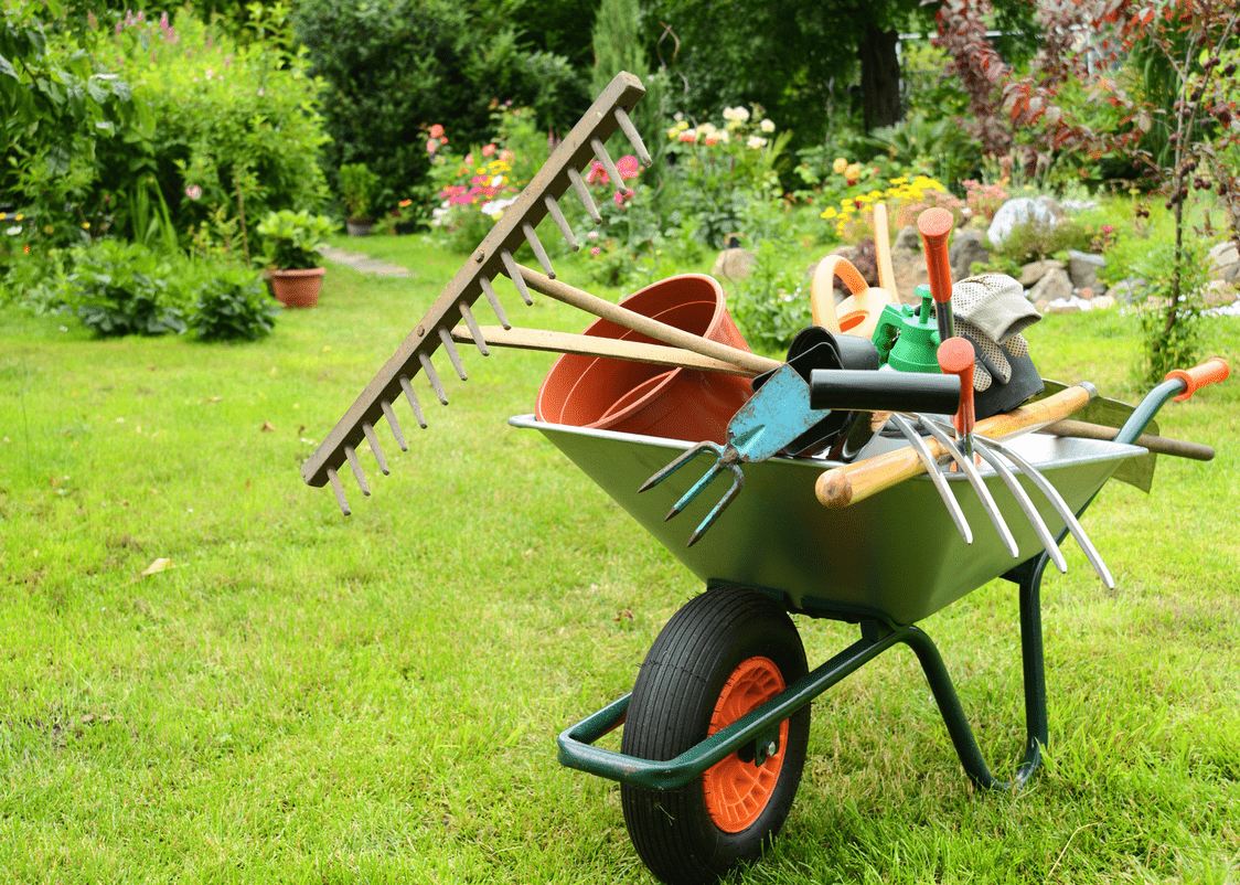 Intendance Intendance