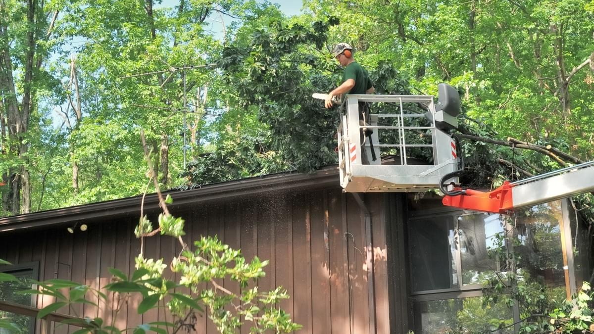 Residential Tree Services Residential Tree Services